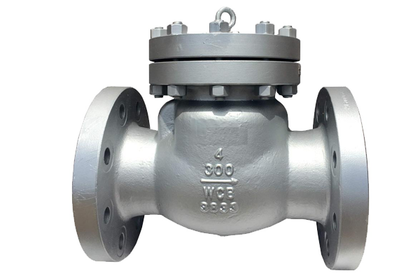 Swing Check Valve